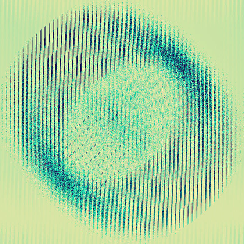 Black Friday Race - Gold Medal