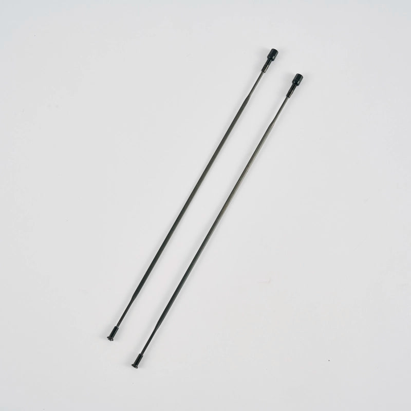 Carbon Spokes Set