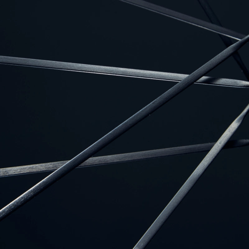 Carbon Spokes Set