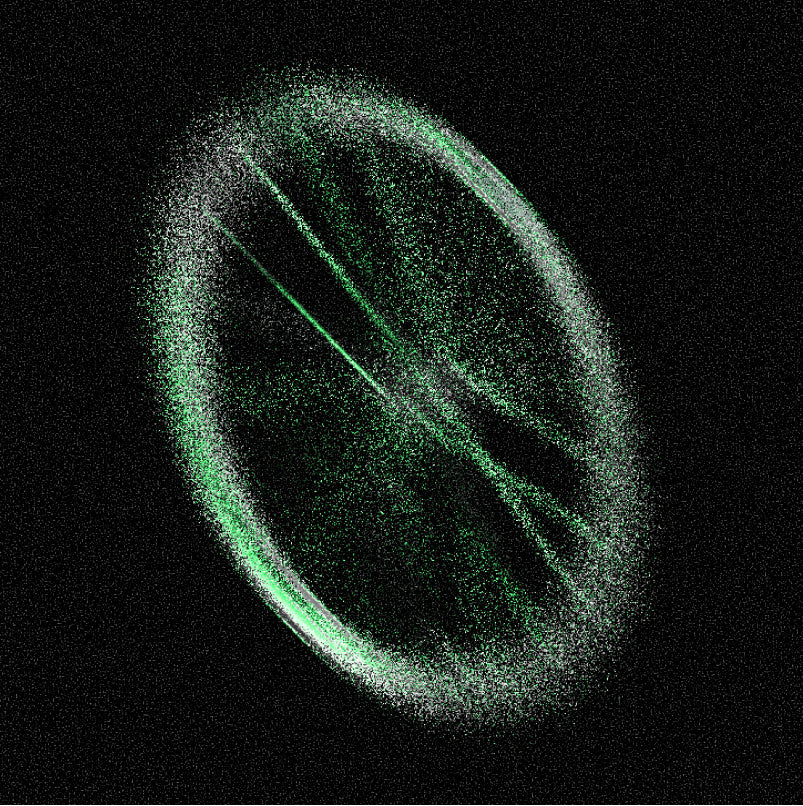 Black Friday Race - Silver Medal